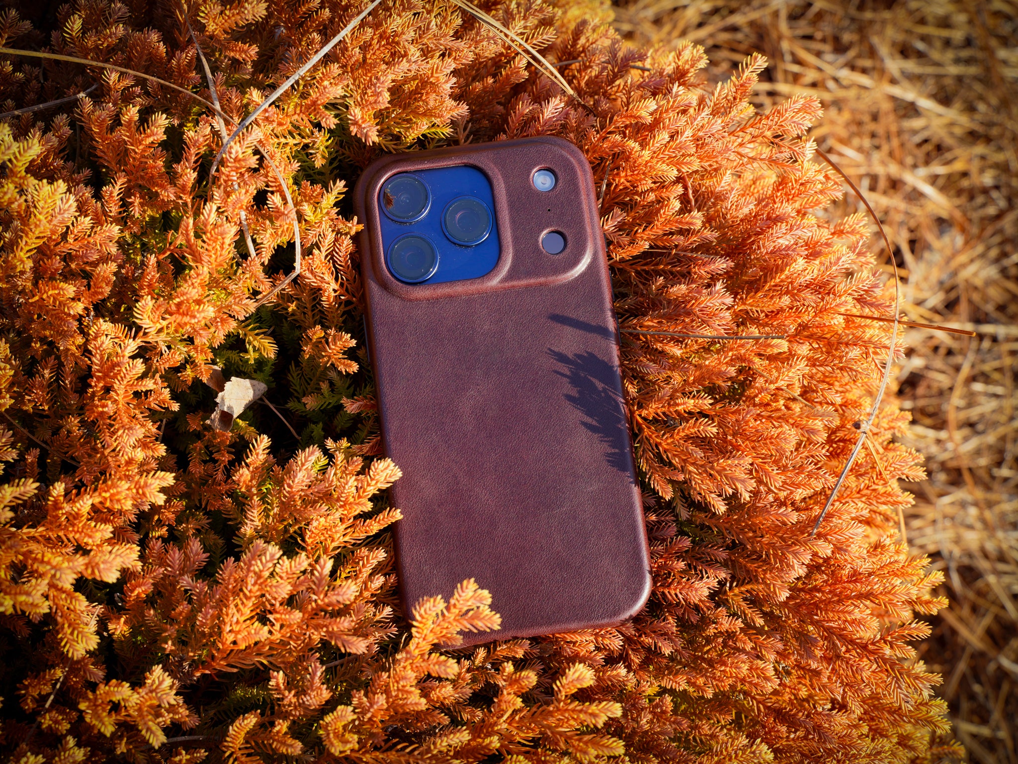 Personalized iPhone 17 Leather Case - Dark Brown | olpr.
