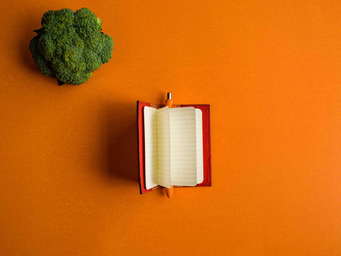 Leather Extra Small Journal - Red Small Notebook - olpr.