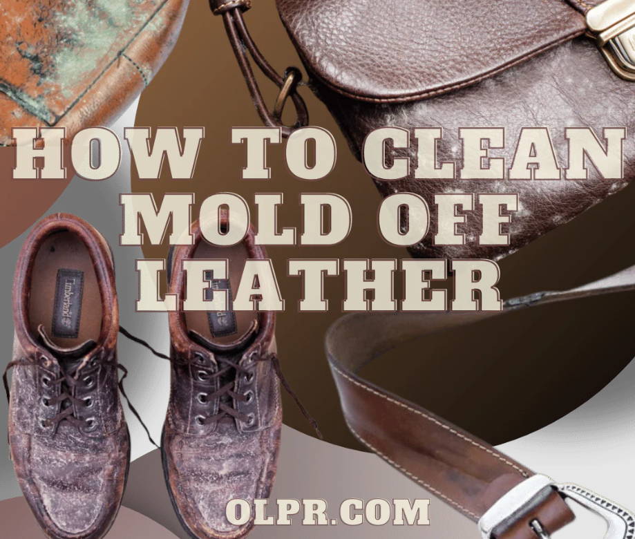 How to Clean Mold off Leather