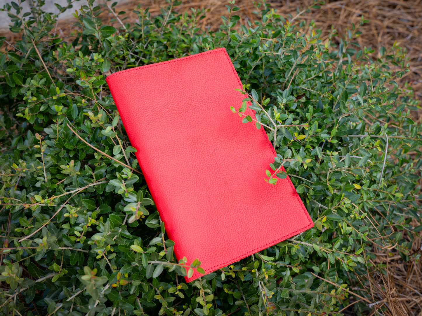 Italian Leather Moleskine Cahier Journal - Red
