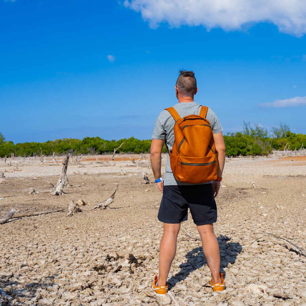 Milwaukee Leather Backpack Urban - Natural