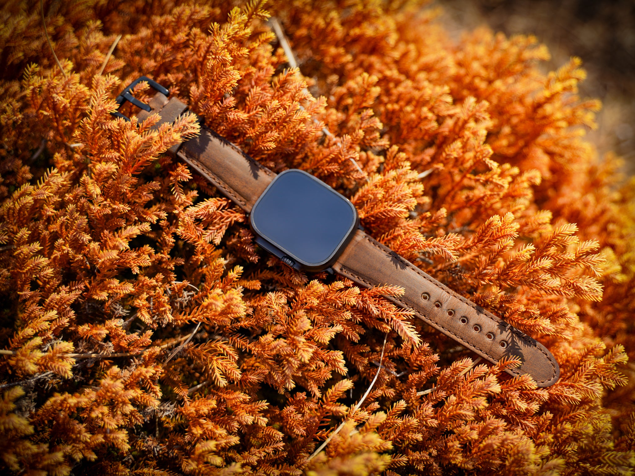 Crazy Horse Leather Apple Watch Band in Brown | olpr USA