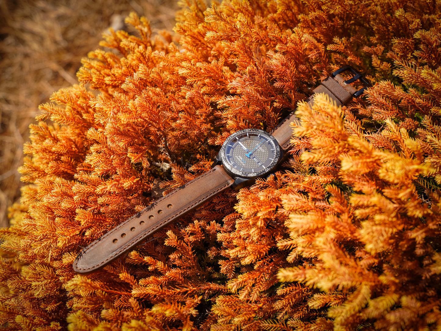 Crazy Horse Leather Watch Band - Brown