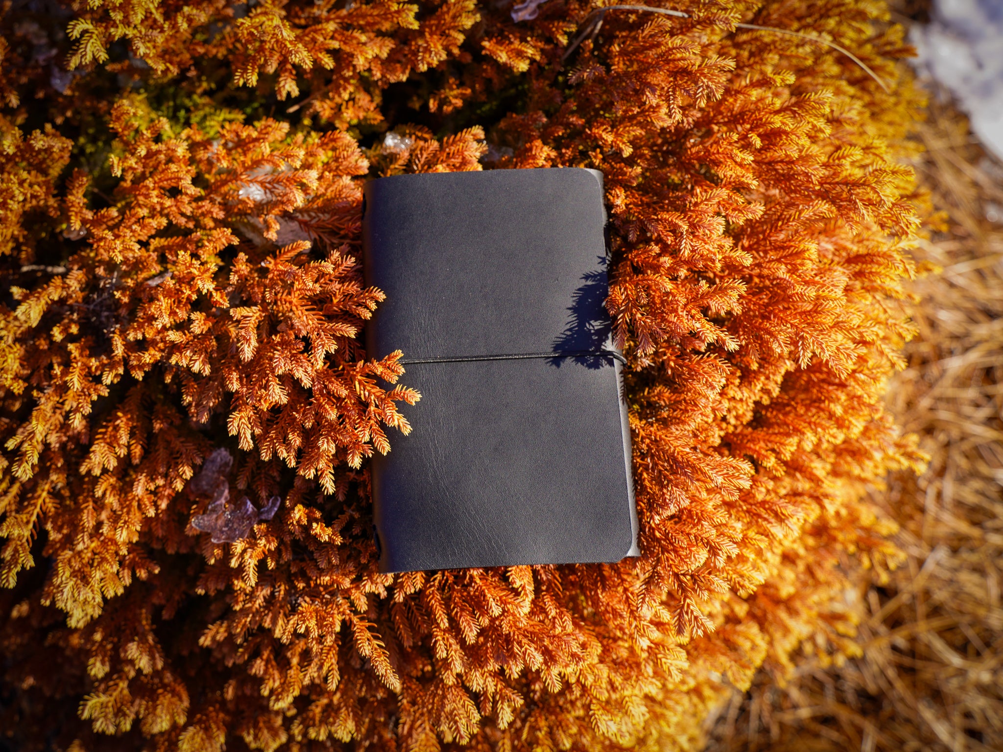 Milwaukee Leather Travel Journal - Black | olpr USA