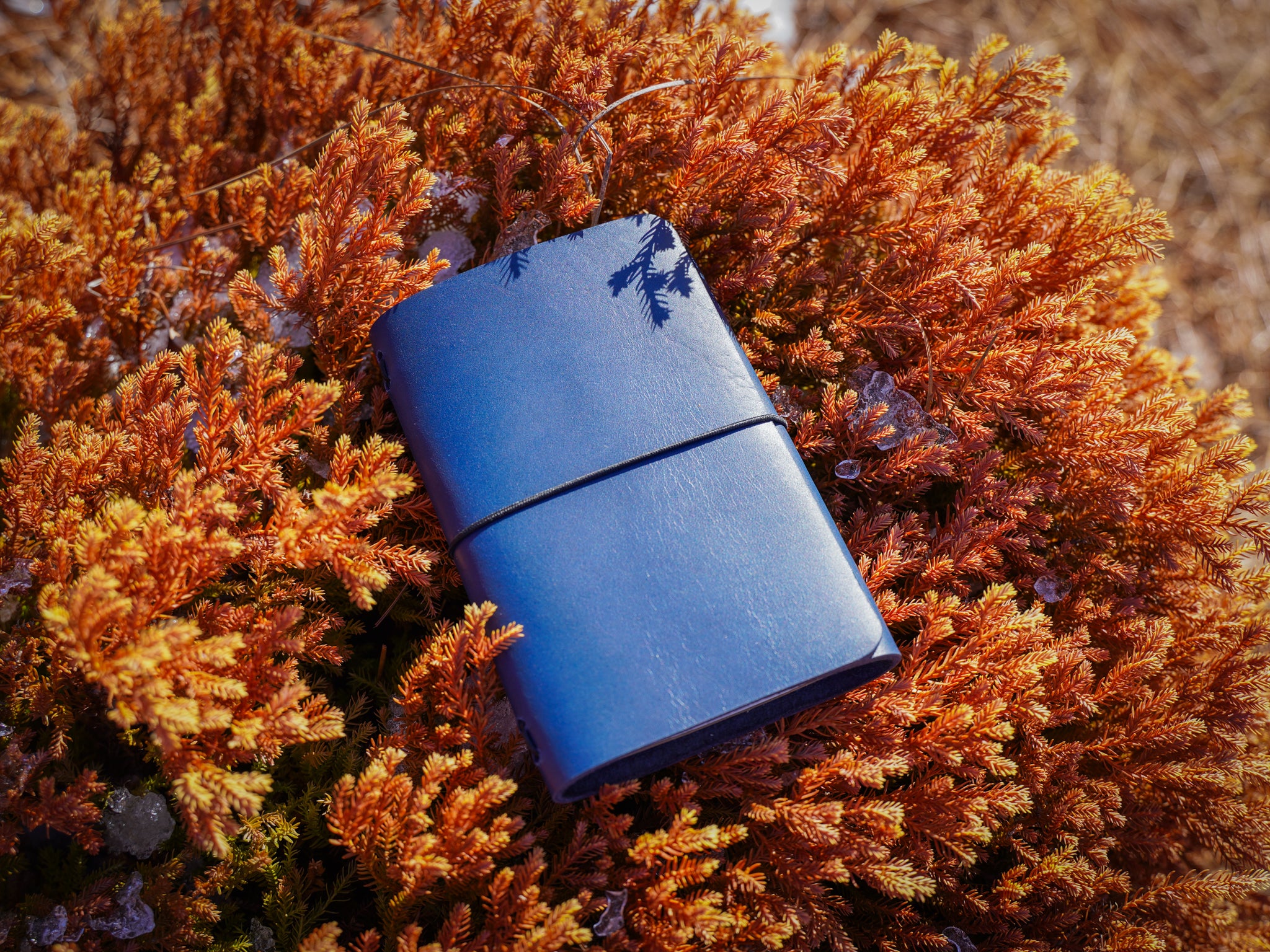 Milwaukee Leather Travel Journal - Navy | olpr USA