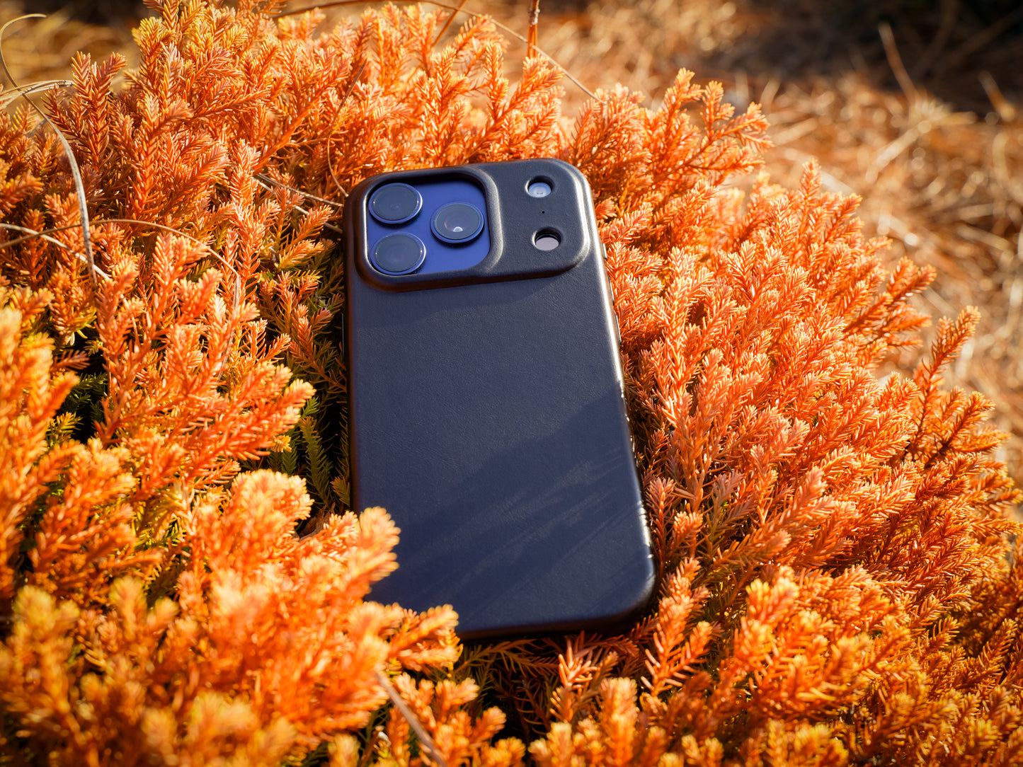 iPhone 17 Leather Case - Black