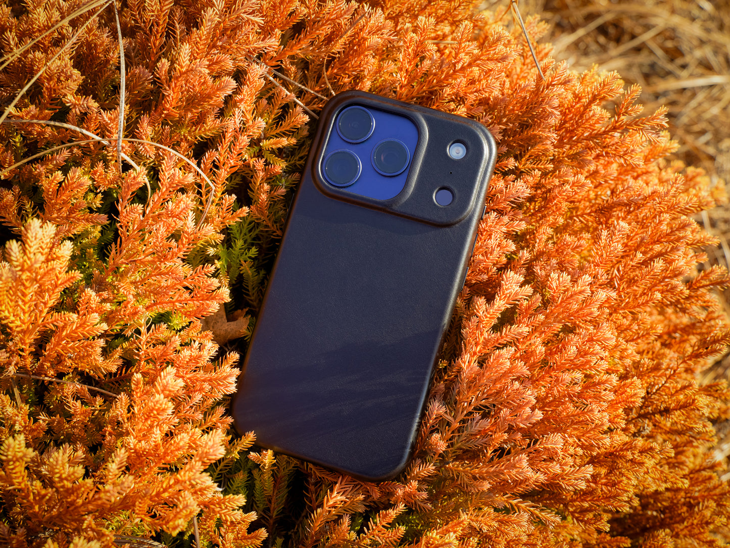 iPhone 17 Leather Case - Black