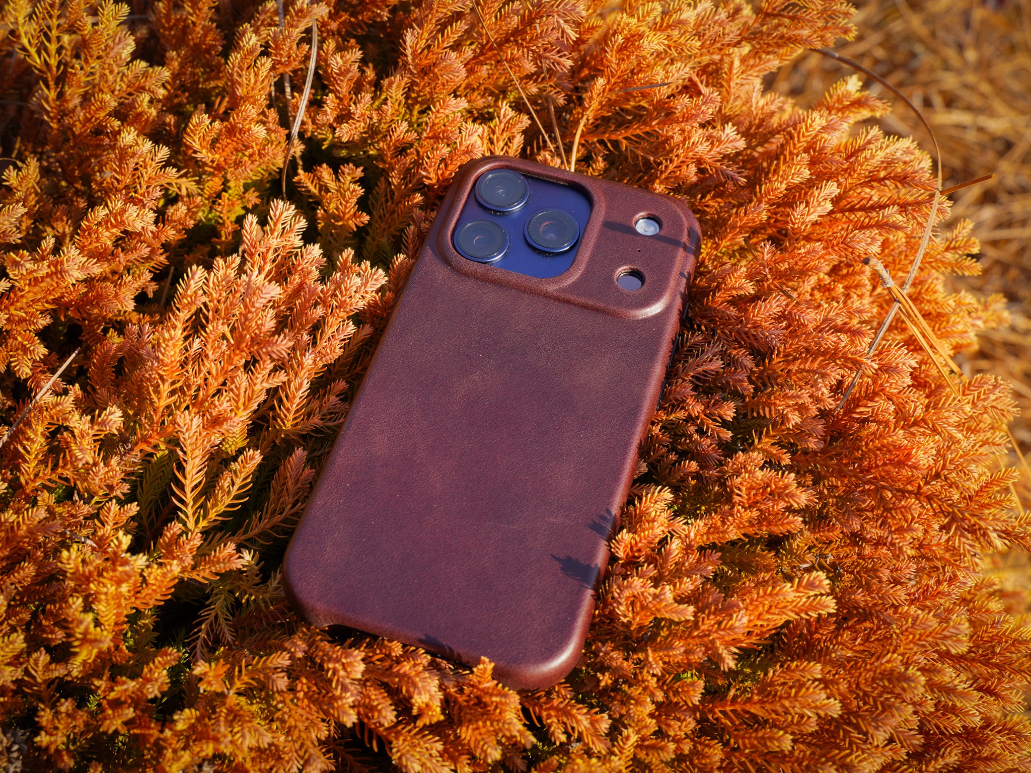 Personalized iPhone 17 Leather Case - Dark Brown | olpr.