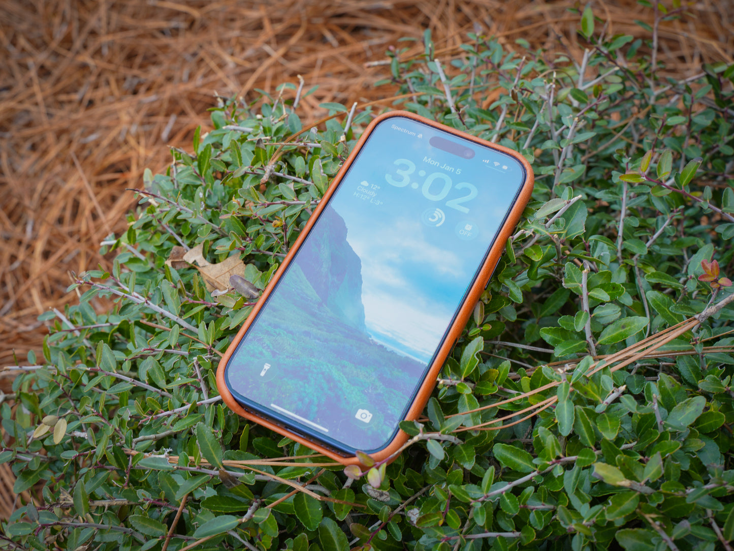 iPhone 17 Leather Case - Natural