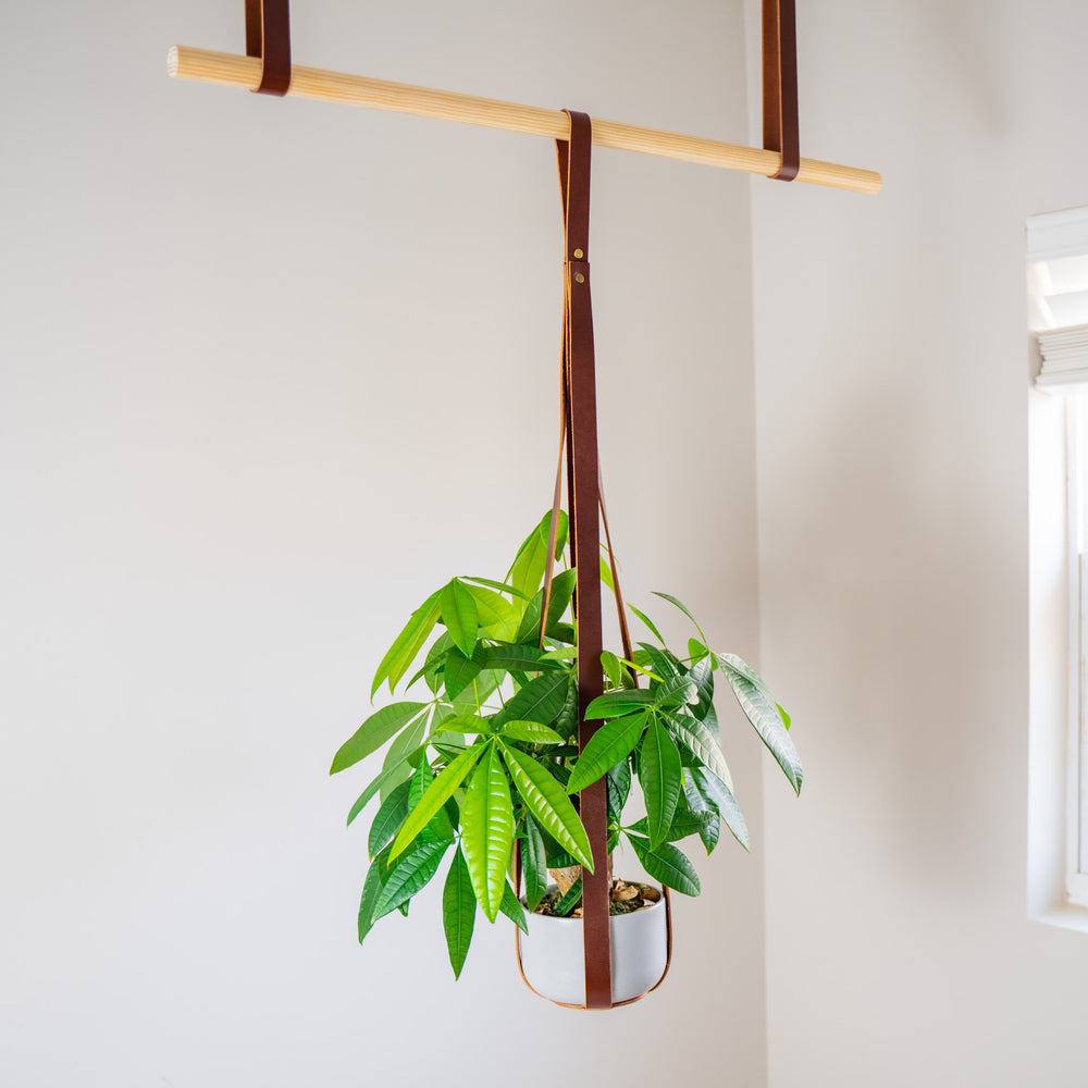 
                      
                        Leather Flower Pot Hanger - Chestnut
                      
                    