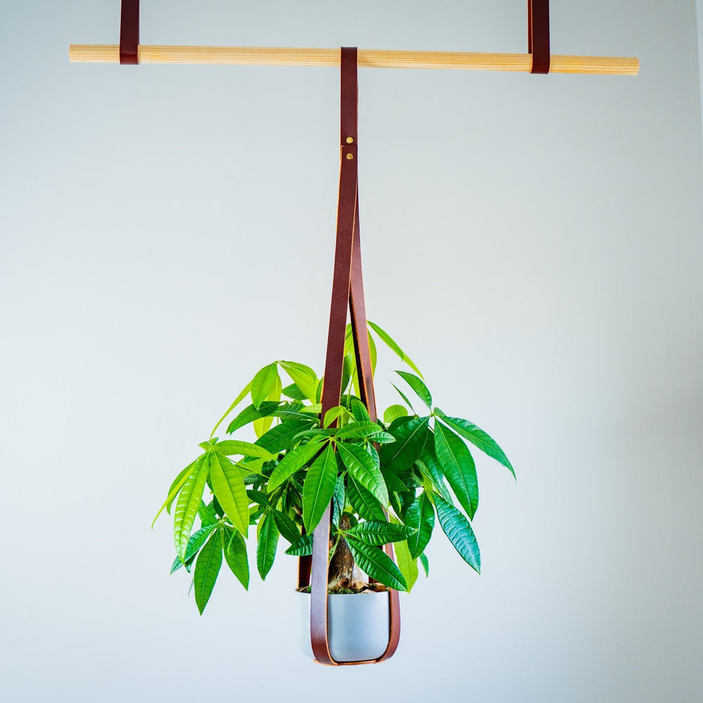 
                      
                        Leather Flower Pot Hanger - Chestnut
                      
                    