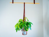 Leather Flower Pot Hanger - Chestnut