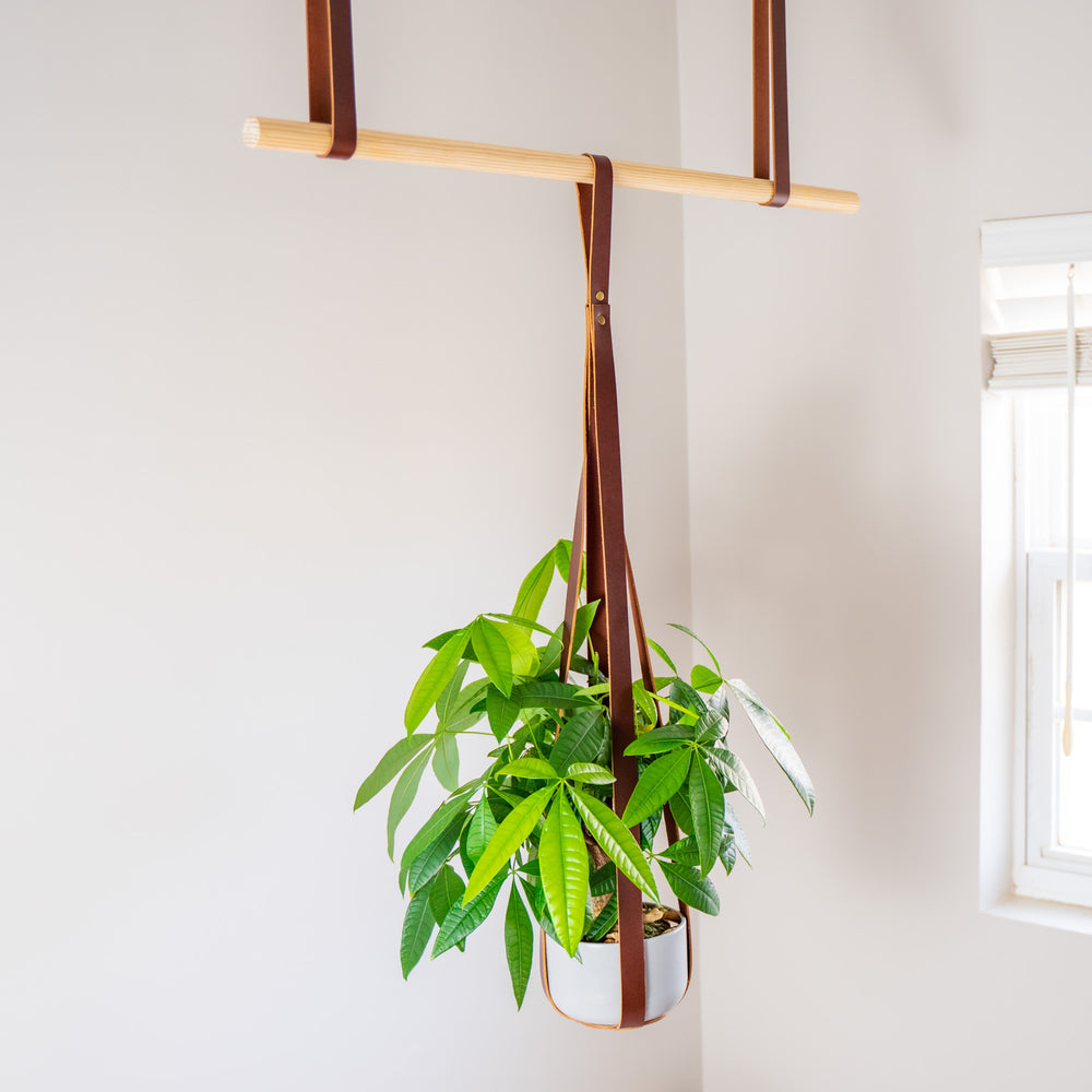 
                      
                        Leather Flower Pot Hanger - Chestnut
                      
                    