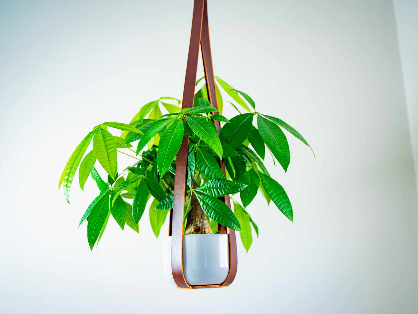 leather plant pot Leather Flower Pot Hanger