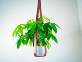 Leather Flower Pot Hanger - Chestnut