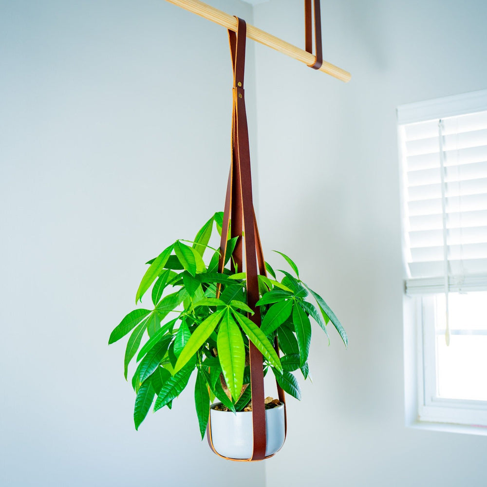 
                      
                        Leather Flower Pot Hanger - Chestnut
                      
                    