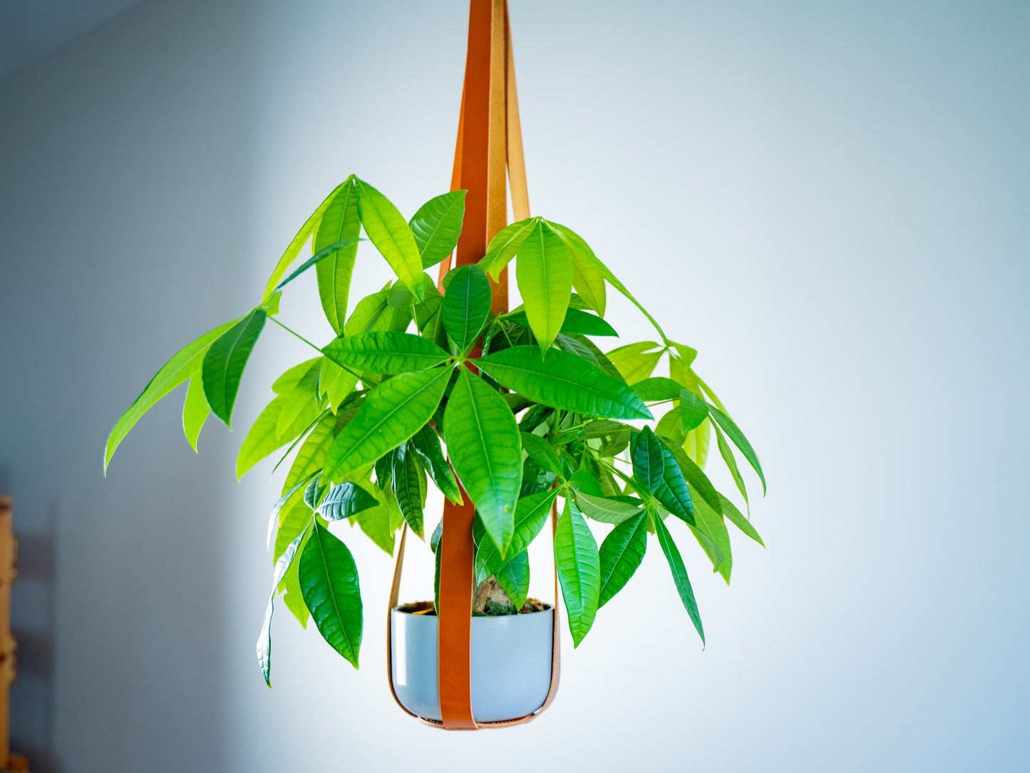 Leather Flower Pot Hanger - Natural