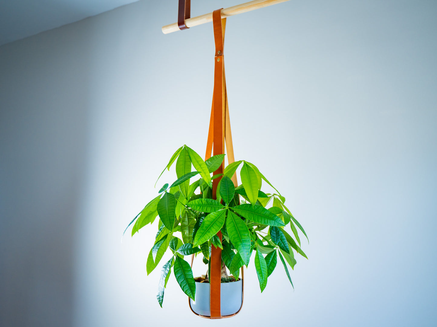 Leather Flower Pot Hanger - Natural