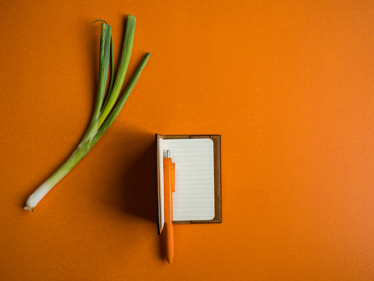 Milwaukee Leather Extra Small Journal - Tan Small Notebook - olpr.