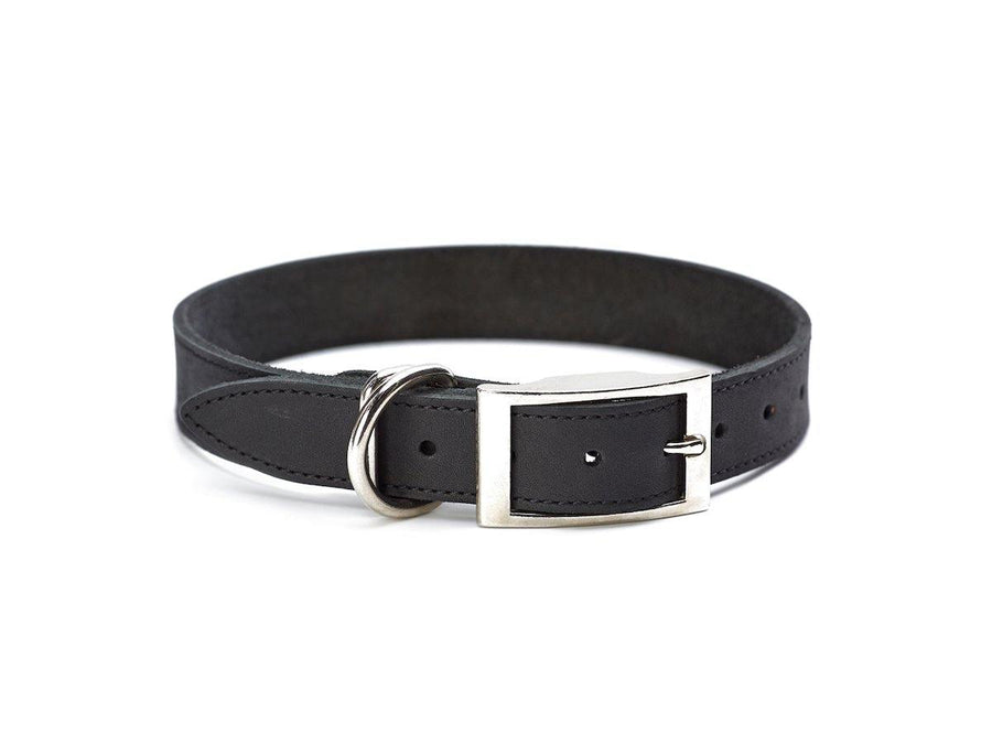 Crazy Horse Leather Dog Collar - Black Pet collar - olpr.