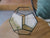 Geometric Terrarium Dodecahedron Small Glass Terrarium - olpr.