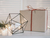 Geometric Terrarium Icosahedron Mini Glass Terrarium - olpr.